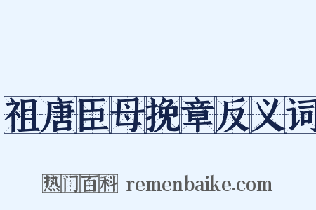 祖唐臣母挽章反义词是什么意思的图片